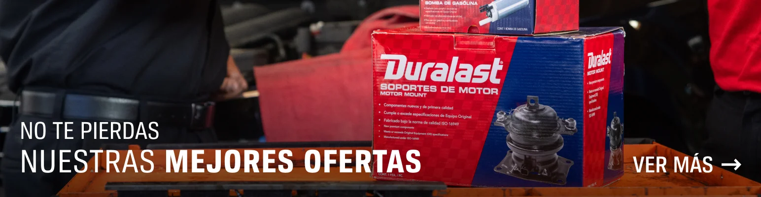 No te pierdas nuestras mejores ofertas 